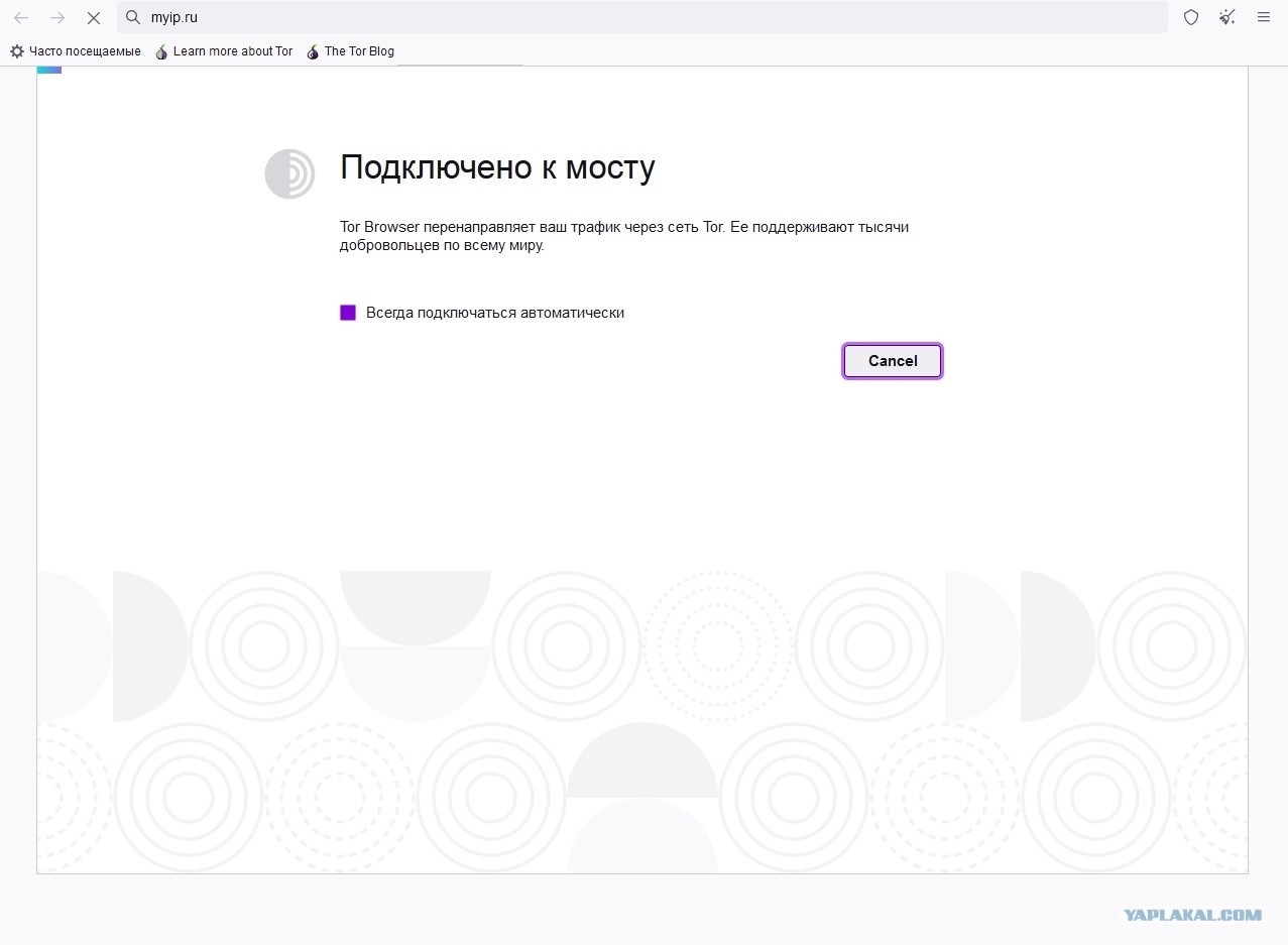 Как попасть на кракен