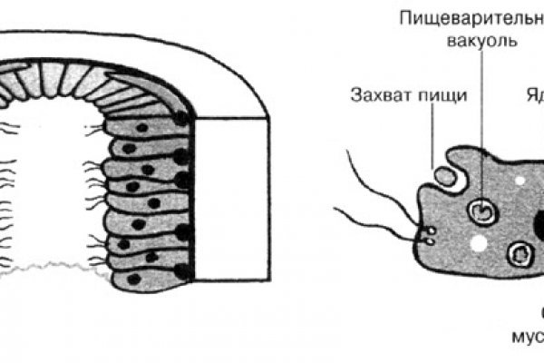 Сайт krn