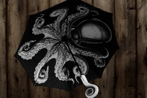 Kraken 5 at