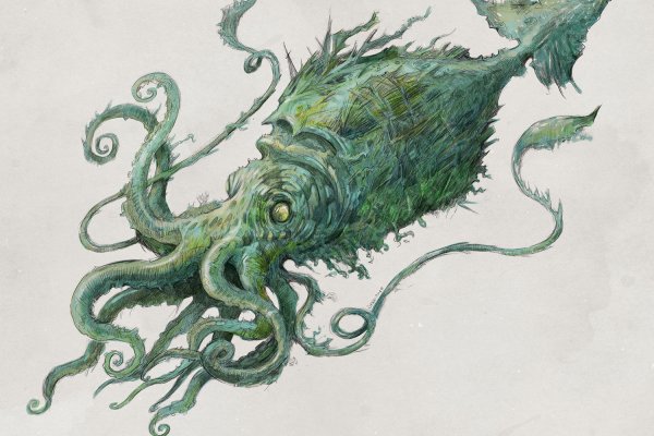 Kraken 5at