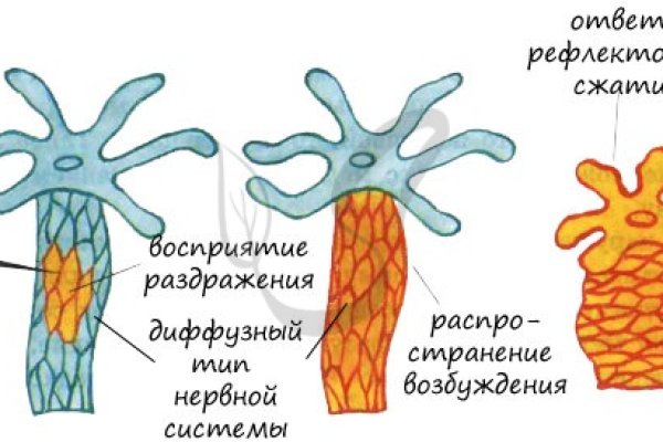 Кракен ссылка на сайт