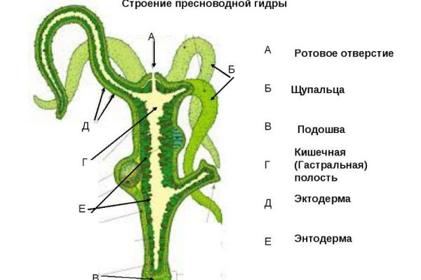 Кракен 2krnk