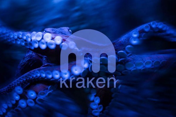 Зеркало kraken kraken16 at kraken16 at